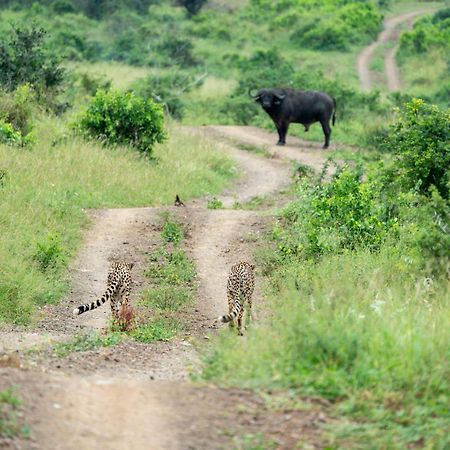 Sungulwane Private Game Lodge Hluhluwe Esterno foto