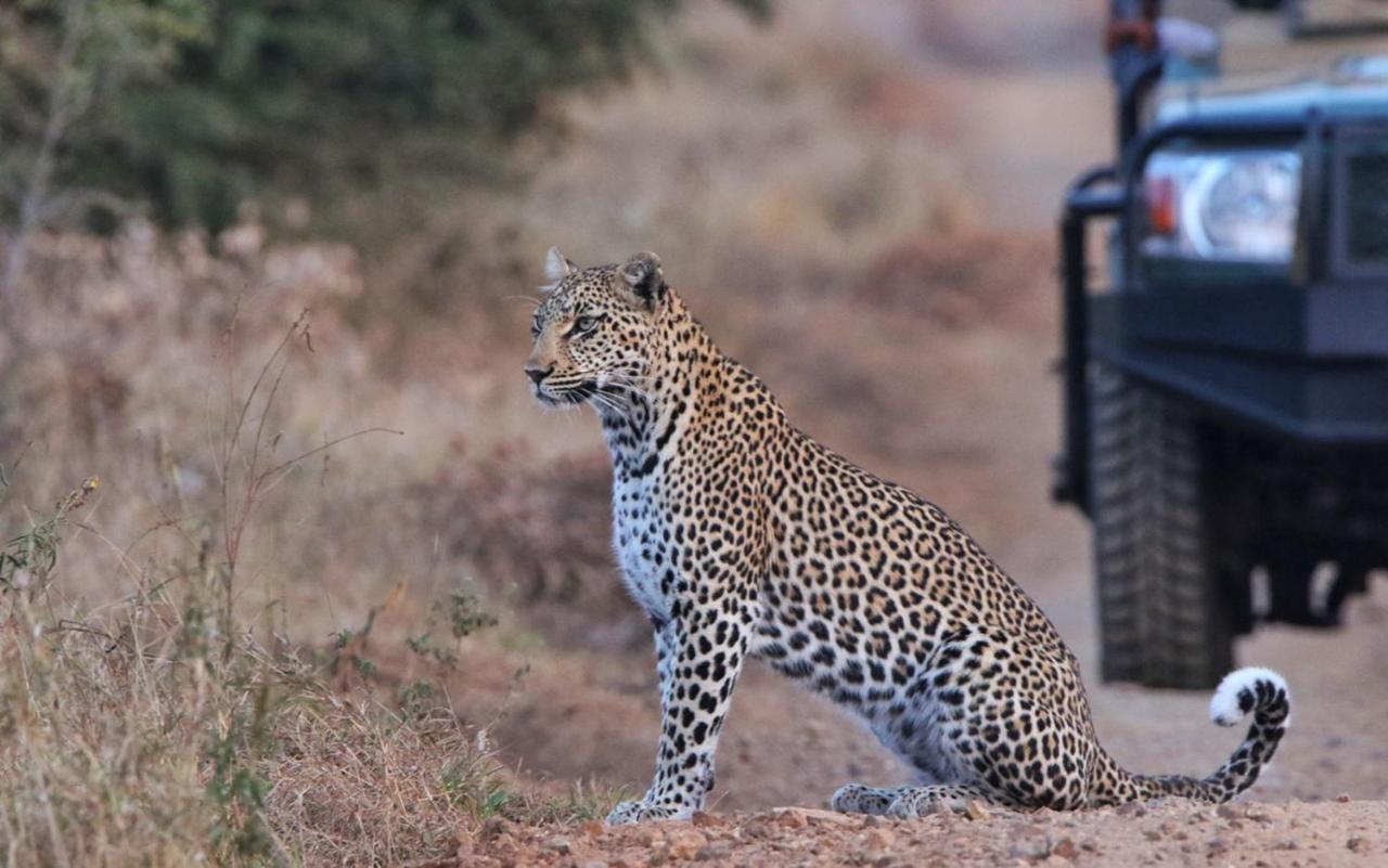 Sungulwane Private Game Lodge Hluhluwe Esterno foto
