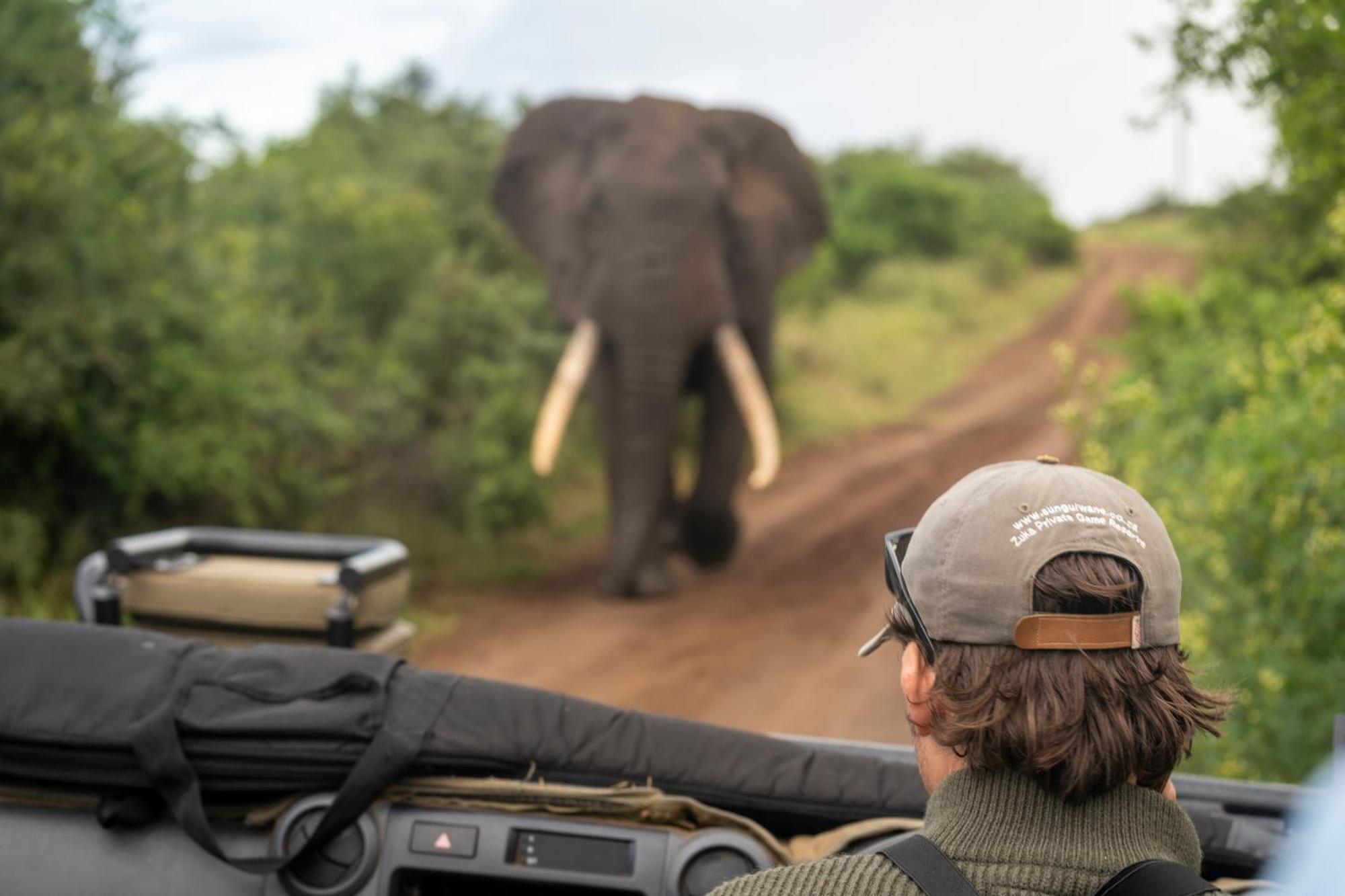 Sungulwane Private Game Lodge Hluhluwe Esterno foto